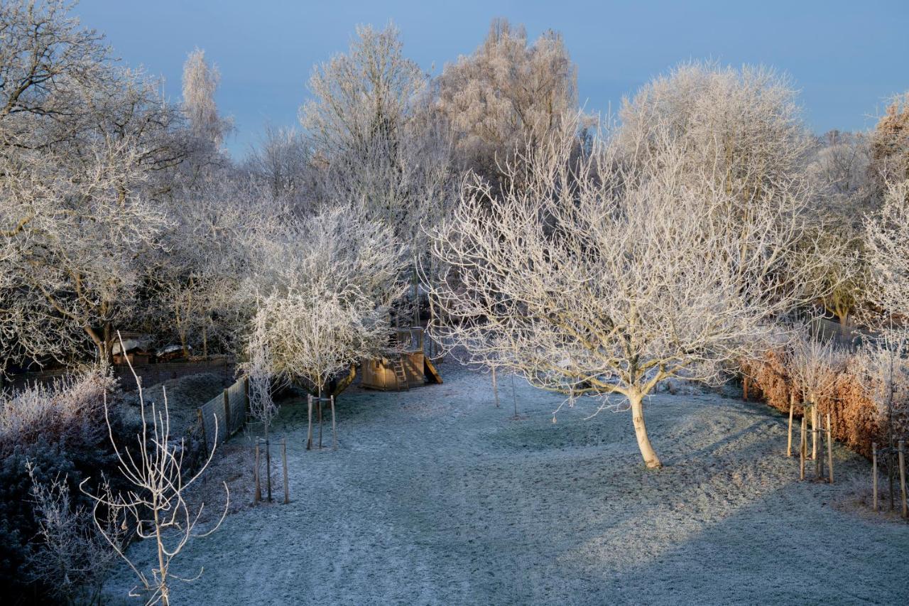 Nuit Blanche Bed and Breakfast Oud-Heverlee Εξωτερικό φωτογραφία